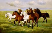 unknow artist Horses 025 Germany oil painting artist